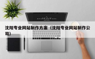 大理沈阳专业网站制作方案（沈阳专业网站制作公司）